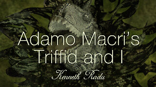 Adamo Macri’s Triffid and I