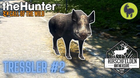 Tressler #2 Hirschfelden | theHunter: Call of the Wild (PS5 4K)