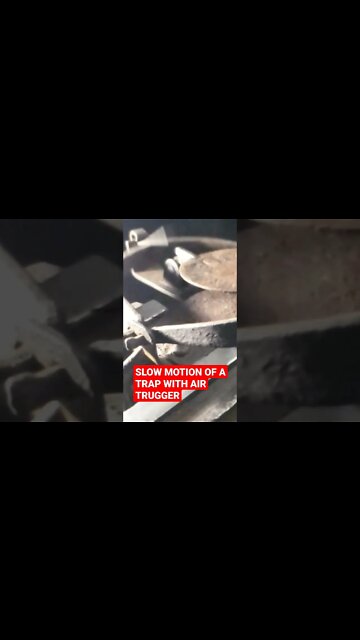 Trap all restored and ready for duty #shorts