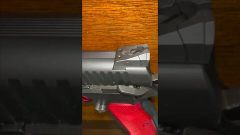CZ/Dan Wesson DWX: Say hello to out little friend!!