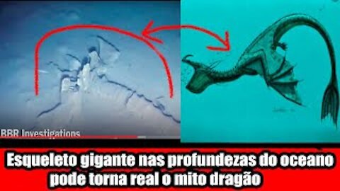 Esqueleto gigante nas profundezas do oceano pode tornar real o mito dragão