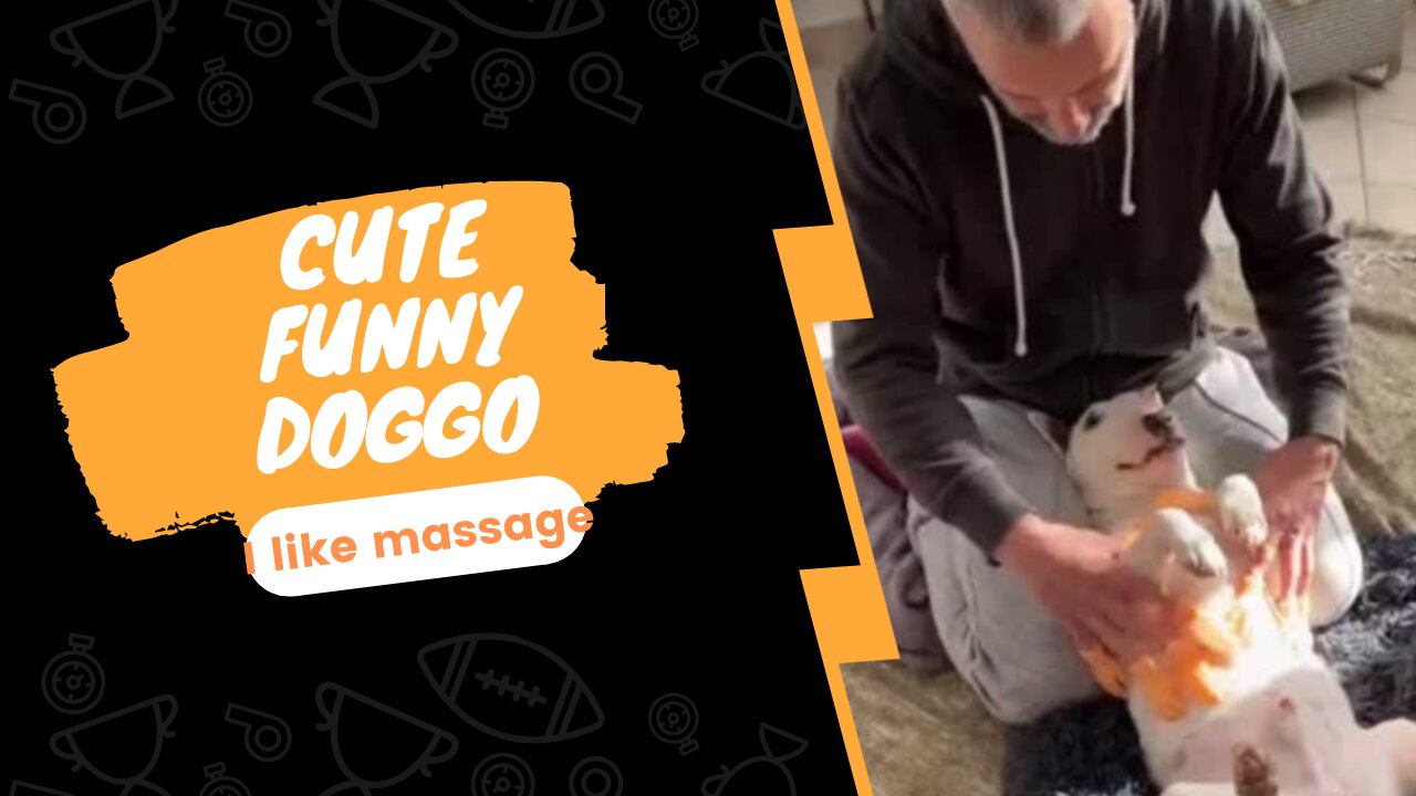 Cute Funny Doggo Massage