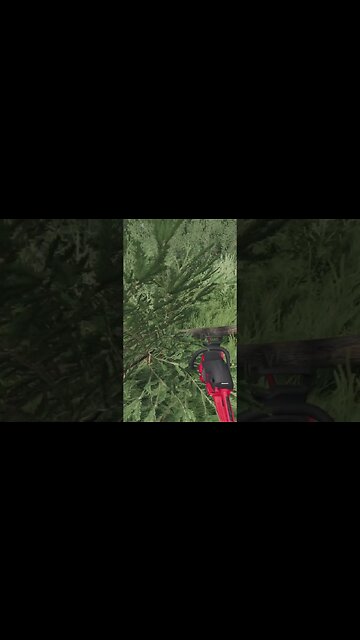 More Trees FS22 #shorts