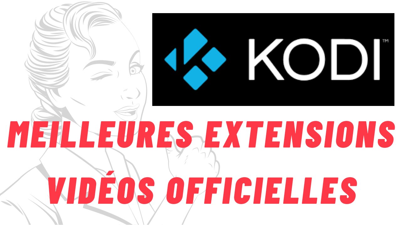 KODI 19 MATRIX | Meilleurs ADDONS VIDÉOS officiels et légaux du dépôt officiel de KODI