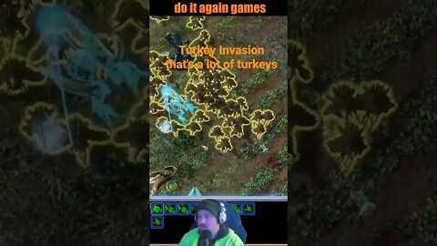 Turkey Invasion that's a lot of turkeys