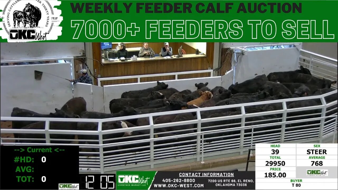 1/11/2022 - OKC West Feeder Calf Auction