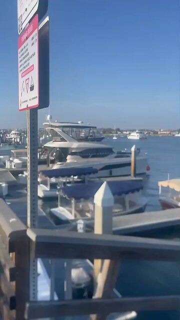 Hard-working family vacation Christmas 2024