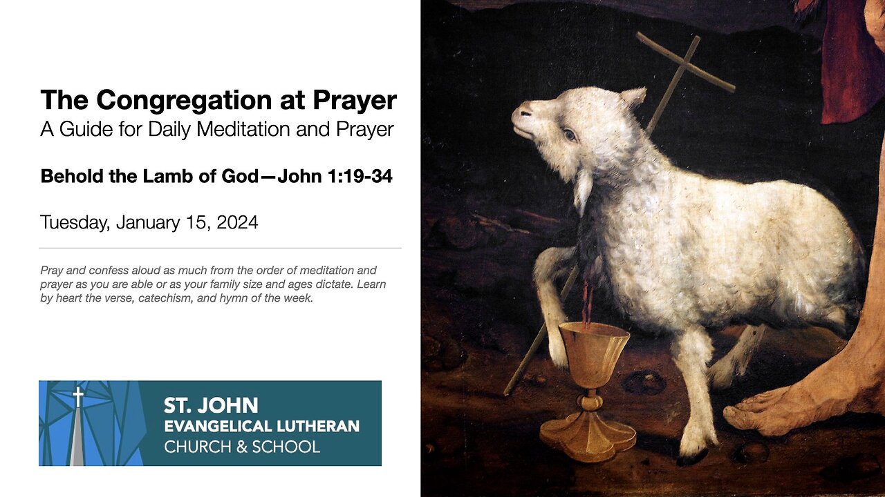 Behold the Lamb of God—John 1:19-34