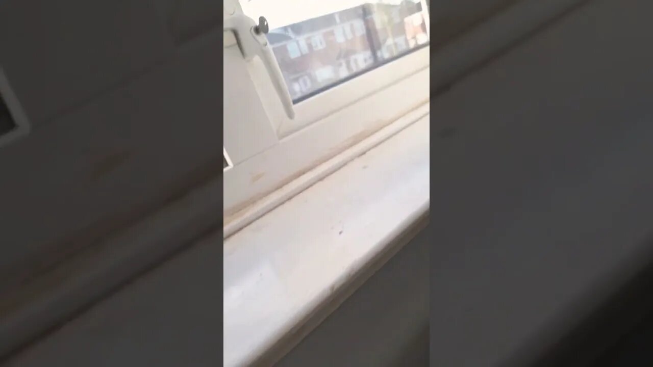 seems to be a nice day