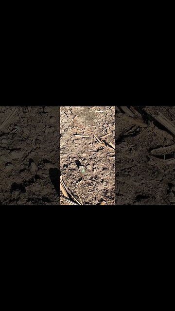 kryptonite field #relics #buttons #coins #civilwar #metaldetecting #trending #silver #