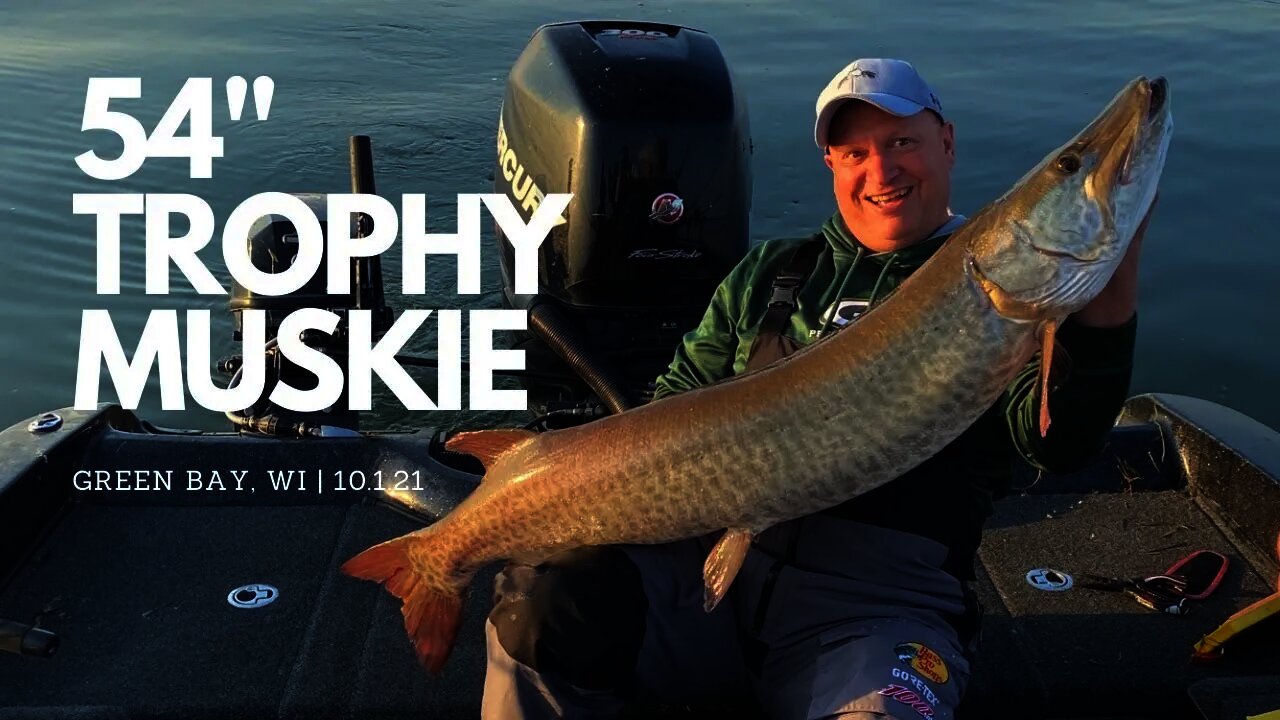 Giant Musky on Green Bay