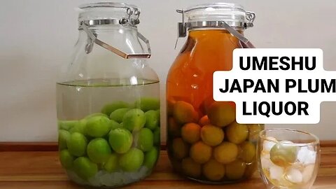 UMESHU JAPAN PLUM LIQUOR -- FRANSISCA SIM