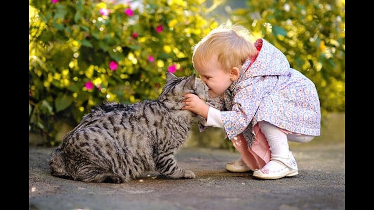 CATS meeting BABIES for the FIRST TIME!! CUTEE!!!