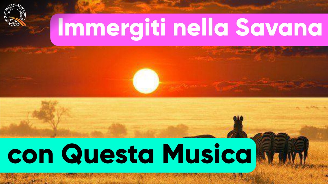 🦓 Immergiti nella Savana con questa Musica