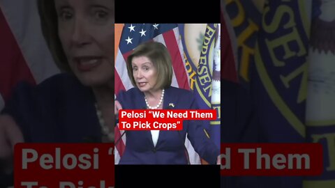 Nancy Pelosi on immigrants, we need them to pick crops #shorts #pelosi #border #midterms2022 ￼