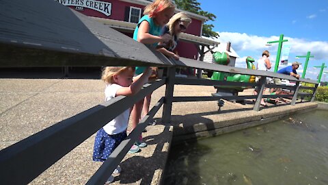 Carly Kid Fish Feeding Frenzy!!!