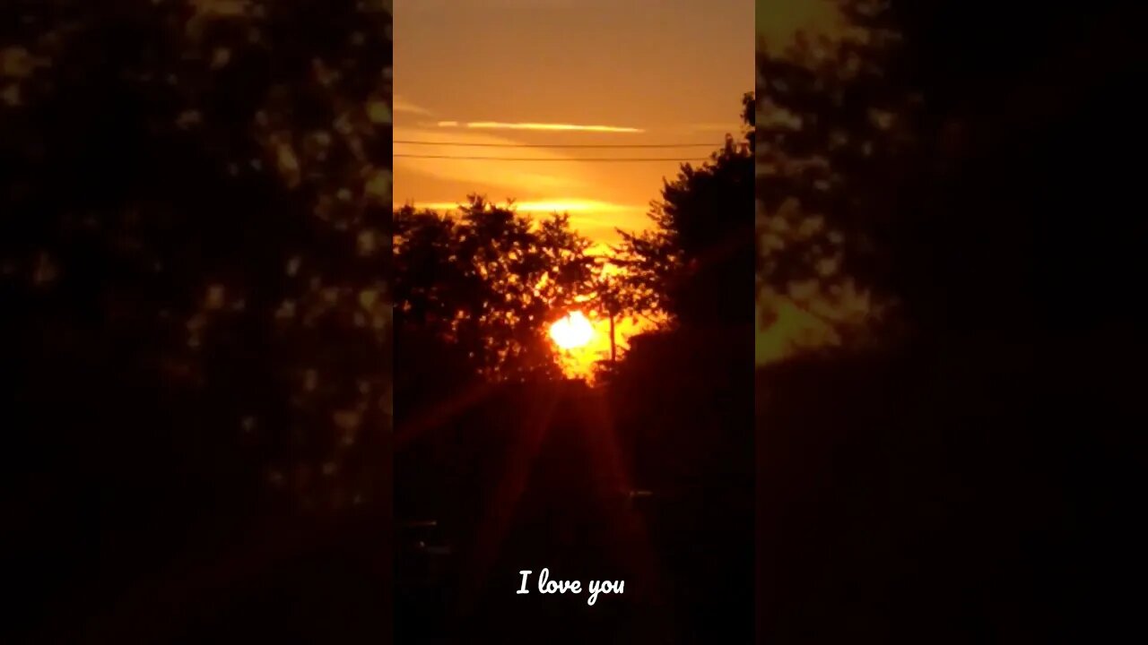I love you