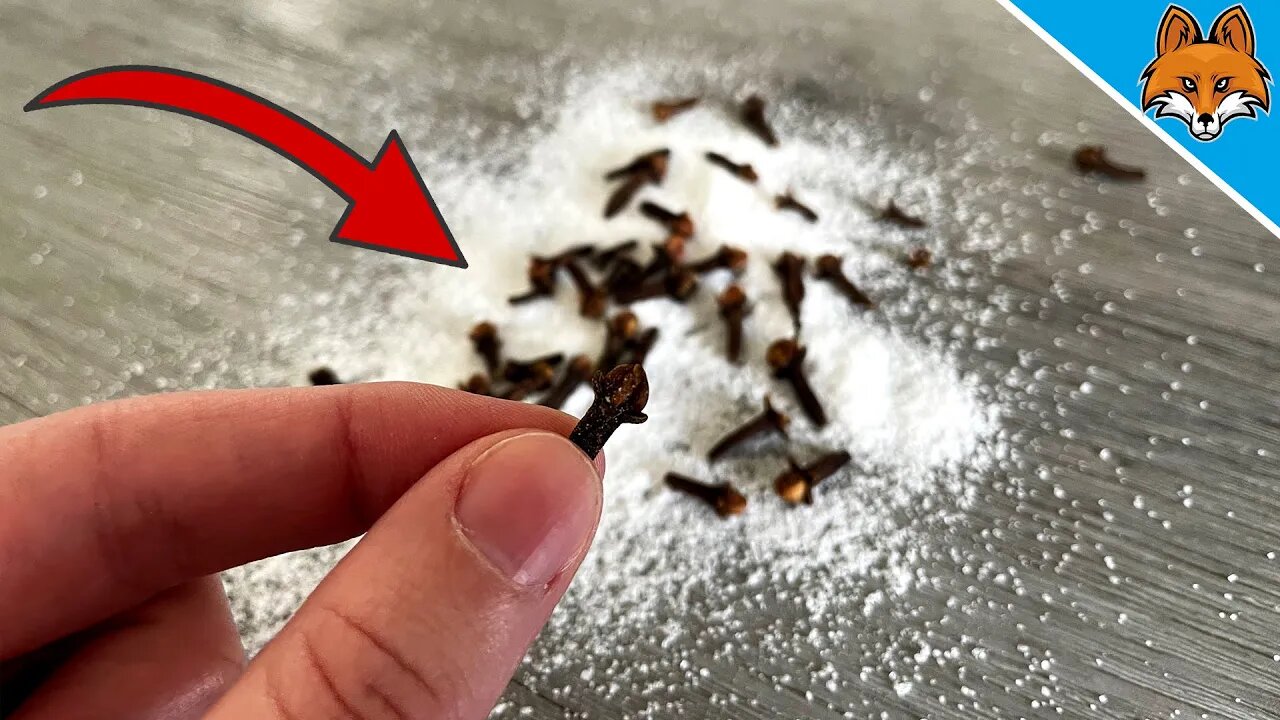 Suck THAT up with your vacuum cleaner and WATCH WHAT HAPPENS 💥 (Genius) 🤯