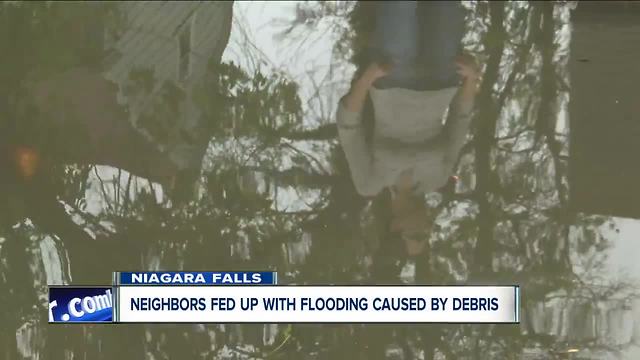 Cayuga Island flooding