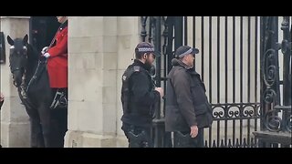 Armed police at horse guards parade #horseguardsparade