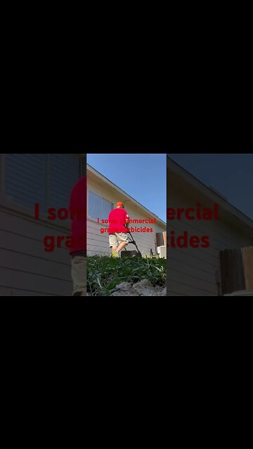 #viral #short #mowing #grass #bermuda #lawncare #home #tahoma #dog #sod