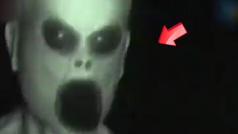 Aliens in the grass attack us - possible fake footage