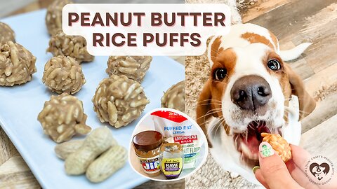 Homemade Peanut Butter Rice Pup Puffs