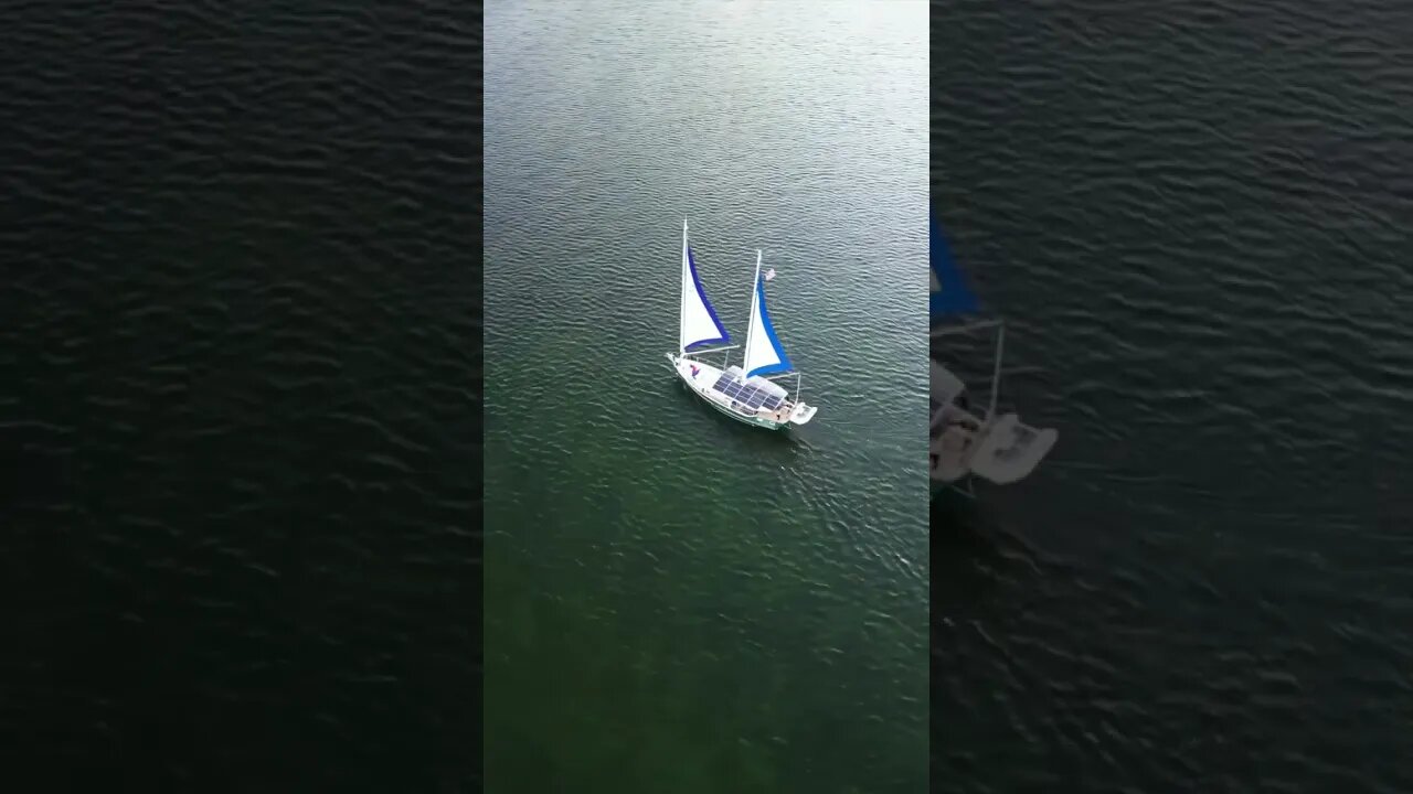 Come Winter Sailing ⛵️ in Key Largo 🏝️❤️ #islamoradaflorida #thefloridakeys #keylargo
