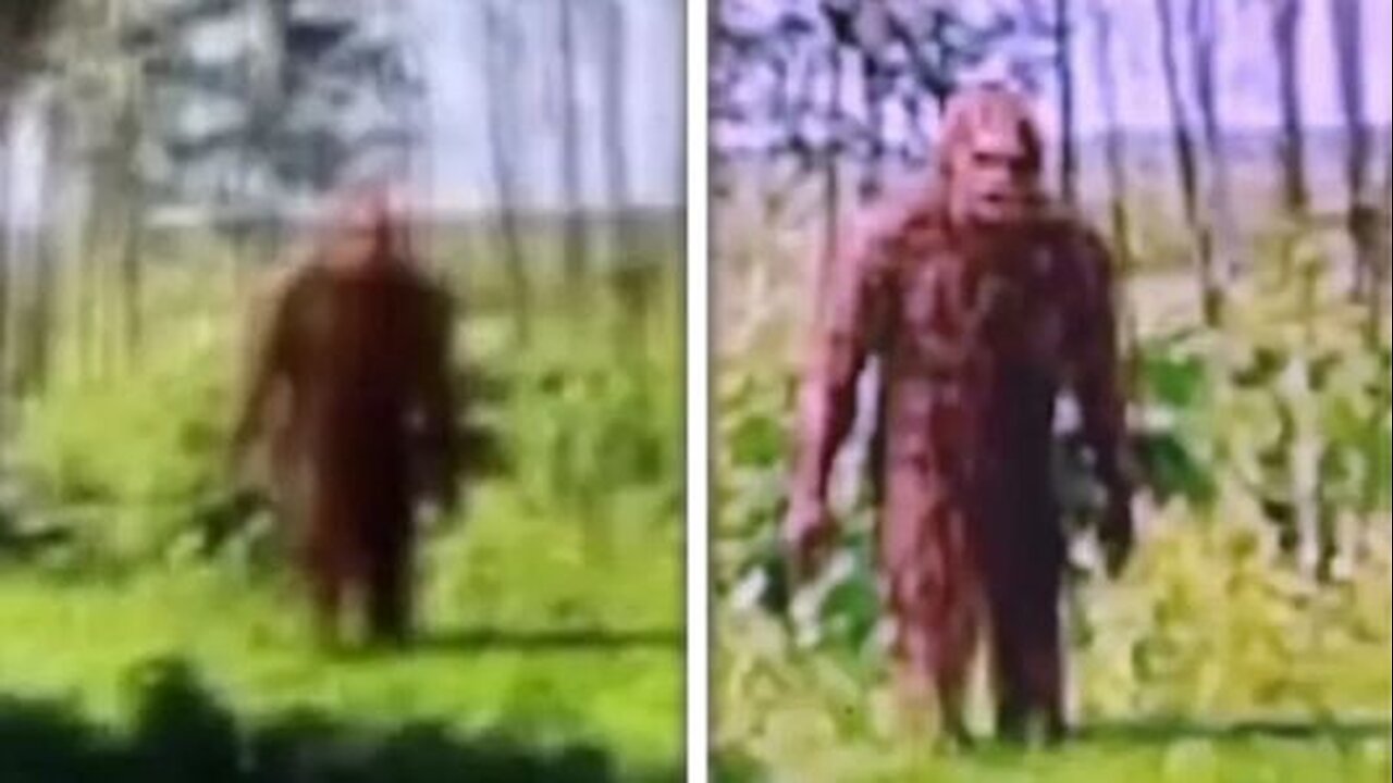 Top 10 Bigfoot Sightings Caught On Google Earth