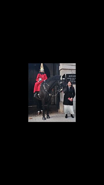 Touching the Reins Guards no longer aloud to shout at tourist #thekingsguard