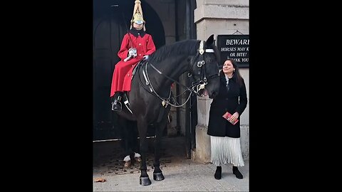 Touching the Reins Guards no longer aloud to shout at tourist #thekingsguard