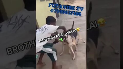 Nigerian funny video