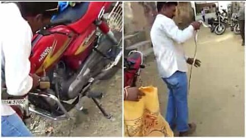 Mies vetää käärmeen moottoripyörän syövereistä