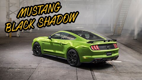 Ford Mustang Black Shadow - Forza Horizon 5 | G27