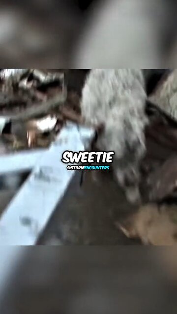 🙏 🌪️ Pray for Joplin, Nebraska.