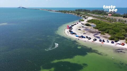 Giant Adventure: Pro Kiteboarding in St. Pete | Morning Blend