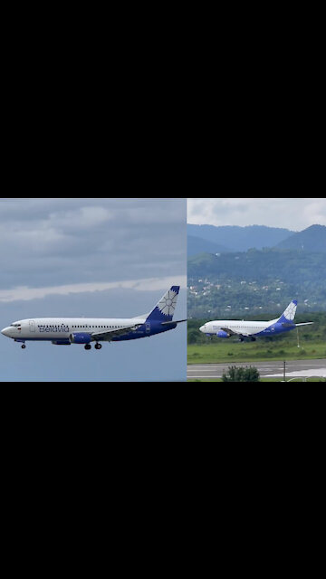 Don't miss this cat, it's close enough to see the beauty of the planes when landing.