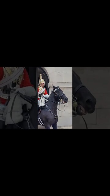 Tourist pulls the Reins (GET OFF THE REINS ) #thekingsguard