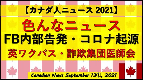 色んなニュース詰め合わせ