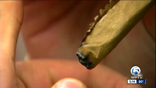 No clear guidelines on testing for medical marijuana in Florida