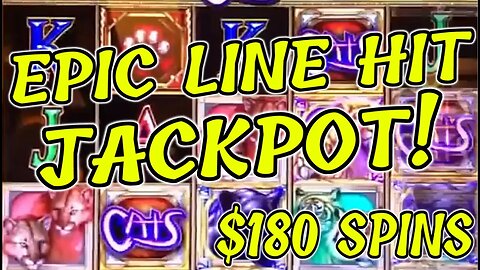 THE PERFECT LINE HIT! 🐾 10 CAT PAYLINE WINS MASSIVE JACKPOT!