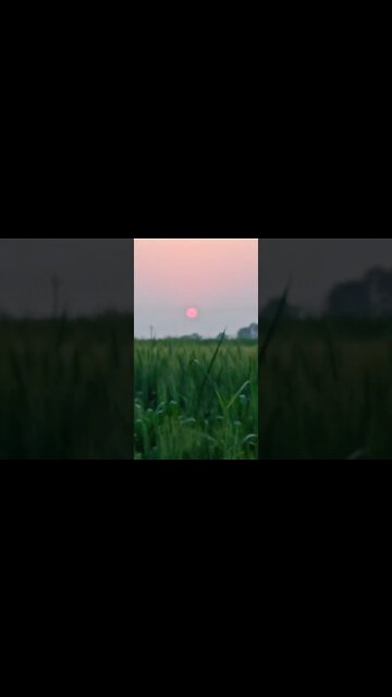 dosto 🤗🤗 #youtubeshorts #shorts #youtube #shortvideo #shortyoutube