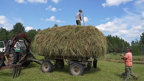 Summer In Rural Russian North Hay making in village far from civilization Russia 2024