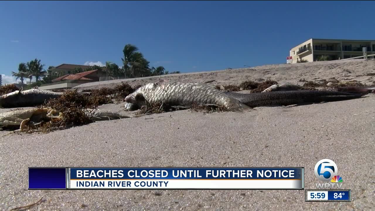 High levels of red tide detected in Indian River County beaches