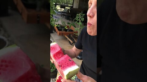 YUM! ❤️🍉👍 #shorts #viral #trending #health #watermelon