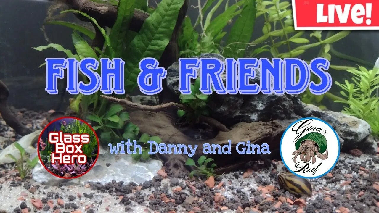 Fish & Friends with Danny and Gina | Season 2, Episode 9