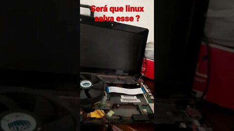 linux debian 11