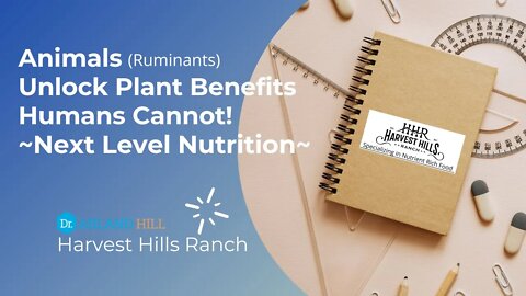 Animals (Ruminants) Unlock Plant Benefits Humans Cannot - Next Level Nutrition