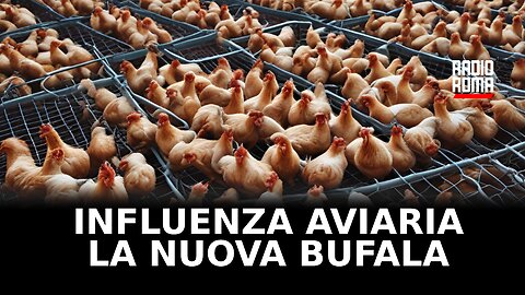 Influenza aviaria: la bufala del morto smentita dal governo messicano