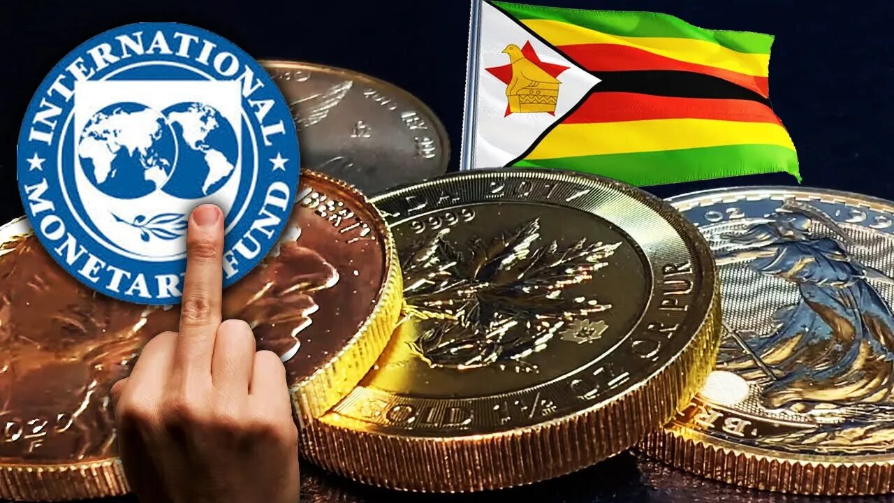 The IMF Tells Zimbabwe To Get Rid Of Gold Coins! You'll LOVE Their Response!